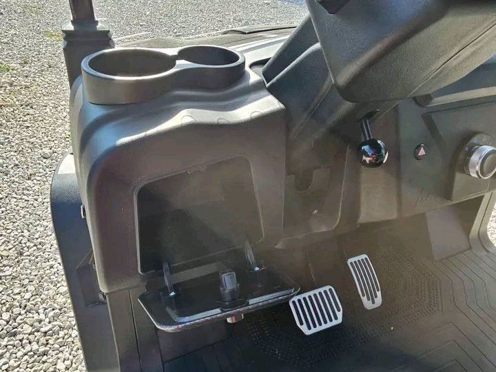 The Denago EV Nomad XL is a 4-passenger lifted lithium golf cart - Image 2