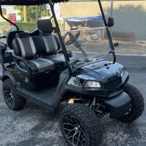 Terminator 48v Electric Golf Cart